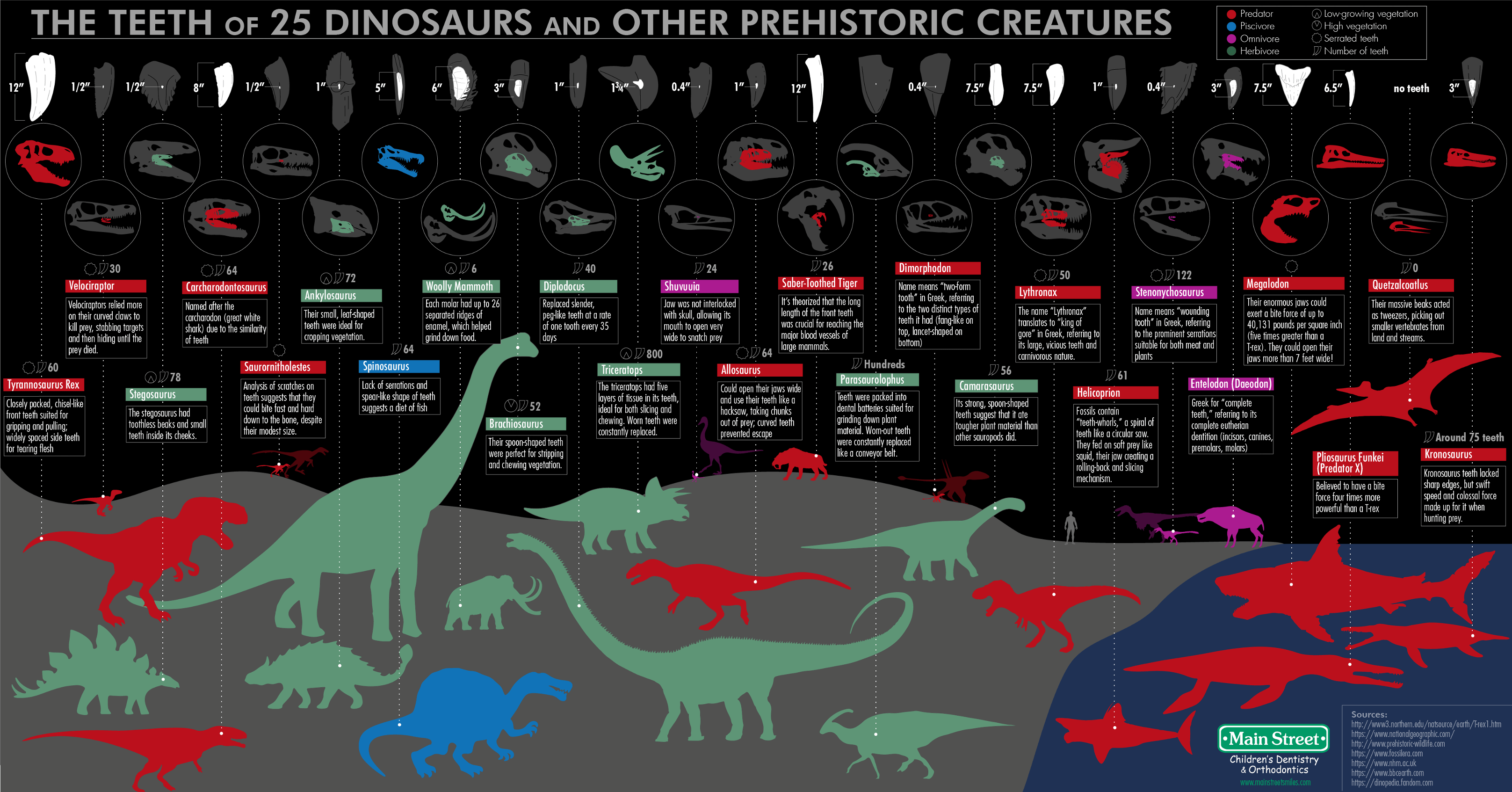 The Teeth of 25 Dinosaurs and Other Prehistoric Creatures - MainStreetSmiles.com - Infographic